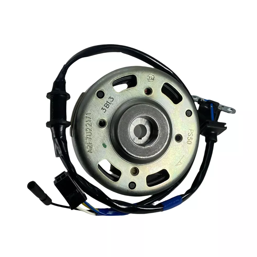 Genuine OEM AC Generator Stator & Flywheel - Buddy 50, RH50