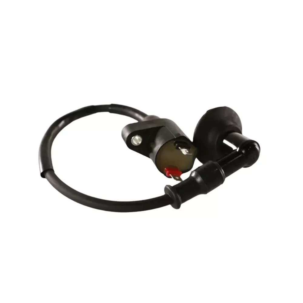 Genuine OEM Ignition Coil - Buddy / Roughhouse / Rattler 50