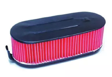Hiflofiltro HFA1706 Premium OE Replacement Air Filter, Black