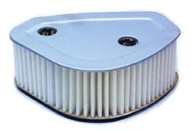 Hiflofiltro HFA4703 Premium OE Replacement Air Filter