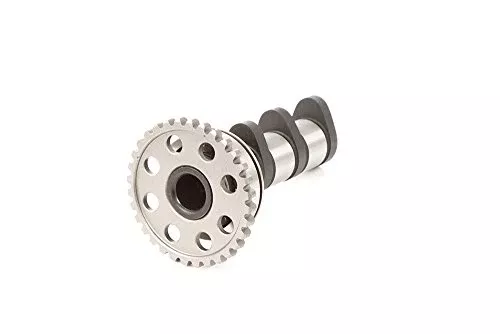 Hot Cams 4023-1IN Camshaft