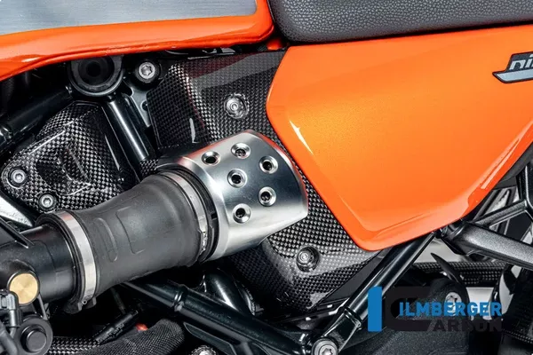 Ilmberger Carbon Airbox Cover Left BMW R12 NineT