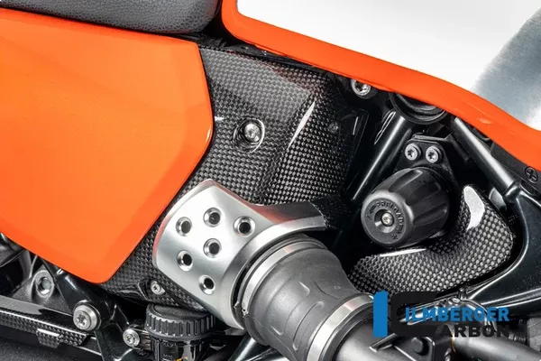 Ilmberger Carbon Airbox Cover Right BMW R12 NineT