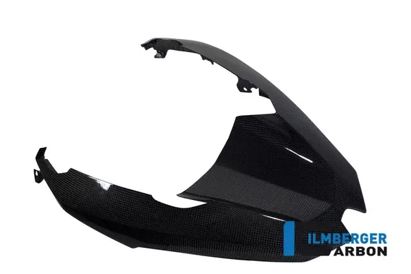 Ilmberger Carbon Beak Front / Upper Fender BMW R 1200 GS 2013-2016