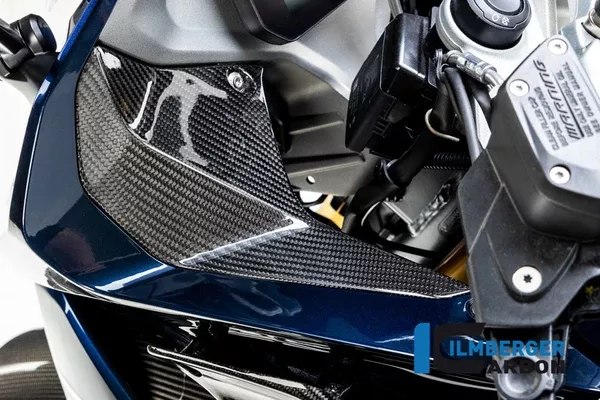 Ilmberger Carbon Cover Near The Instrument Left Side BMW R 1250 RS 2019