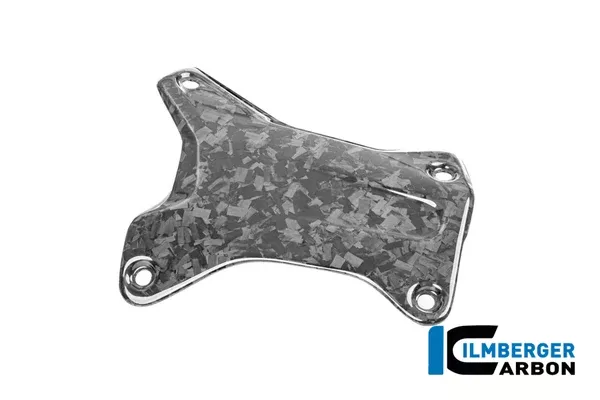 Ilmberger Carbon Crash Bar Cover Right BMW R 1300 GS Adventure