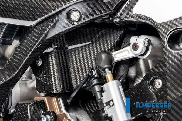 Ilmberger Carbon Electronics Cover BMW M1000RR / S1000RR