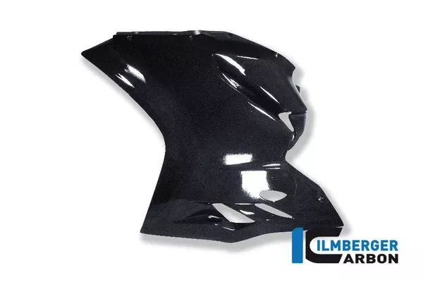 Ilmberger Carbon Fairing Side Panel Left Race Ducati 2012-2017