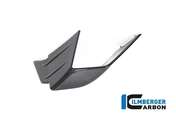 Ilmberger Carbon Flap On The Fairing Left Side BMW M 1000 RR 2021-2022
