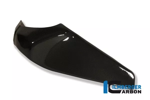 Ilmberger Carbon Frame Cover Left For Buell 1125 R / CR