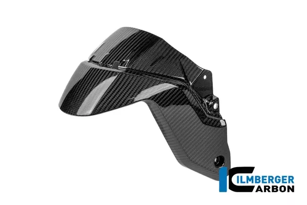 Ilmberger Carbon Front Fender BMW R 1300 R