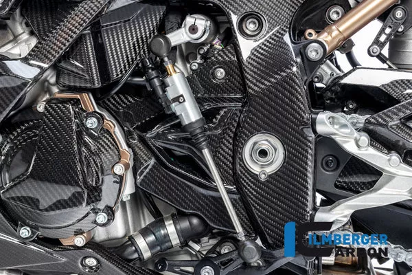 Ilmberger Carbon Front Sprocket Cover BMW M1000RR / S1000RR