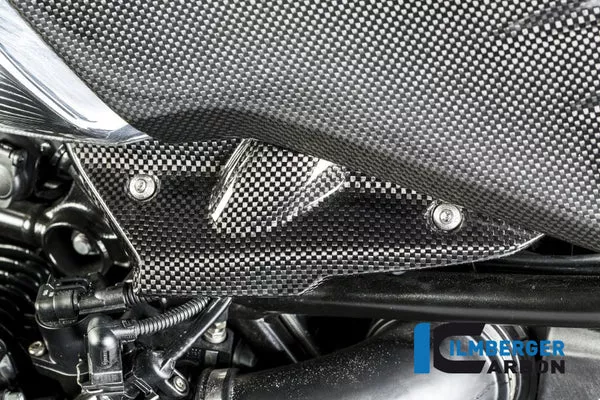 Ilmberger Carbon Injector Cover – BMW R NineT