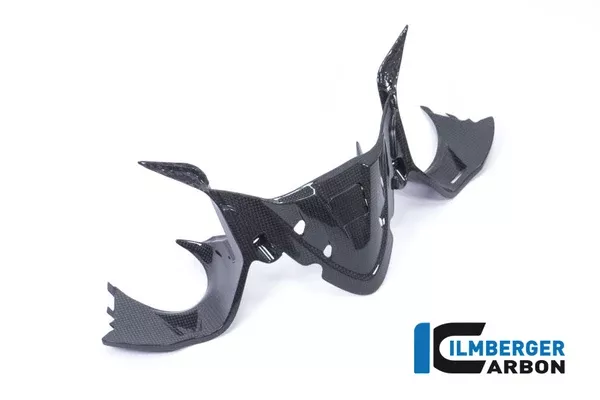 Ilmberger Carbon Instrument Panel With GPS Ducati Panigale 1299 (From 2015) - Plain Gloss