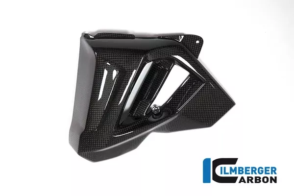 Ilmberger Carbon Left Water Radiator Cover BMW F 800 R 2015-2020