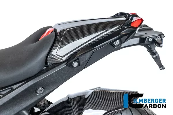 Ilmberger Carbon Passenger Seat Cover BMW R 1300 R