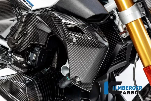 Ilmberger Carbon Radiator Cover Right Side BMW R 1250 R