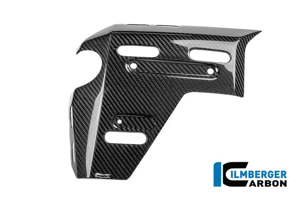Ilmberger Carbon Radiator Cover With Holes Left BMW R 1300 GS Adventure