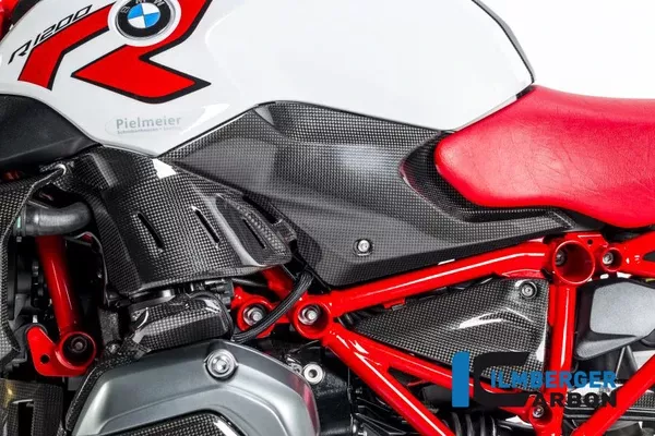 Ilmberger Carbon Side Cover Under Tank Left BMW R 1200 R 2015-2020