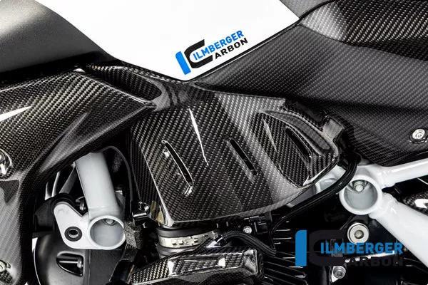 Ilmberger Carbon Side Panel Under The Tank Left BMW R 1250 R