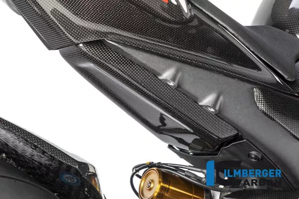 Ilmberger Carbon Tank Protection Ducati Panigale V4 Racing
