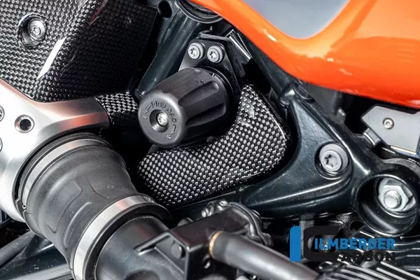 Ilmberger Carbon Toolbox Cover BMW R12 NineT