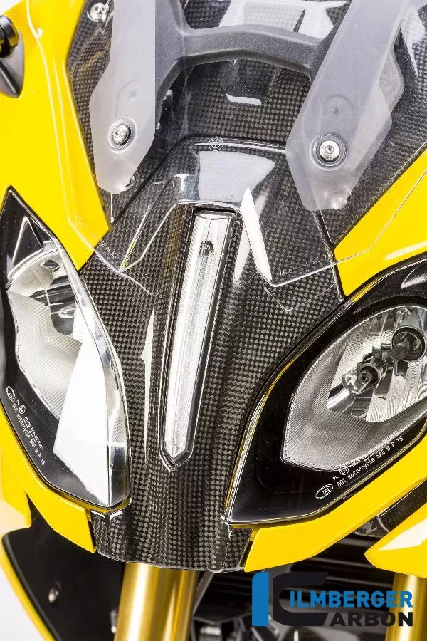 Ilmberger Carbon Upper Center Fairing Panel BMW R 1200 RS 2015