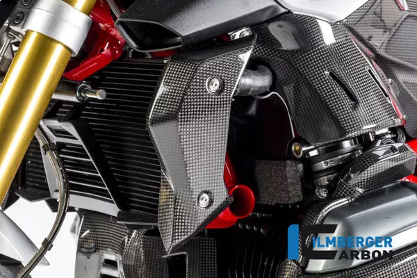 Ilmberger Carbon Water Radiator Cover Left BMW R 1200 R 2015-2020
