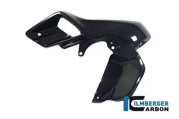 Ilmberger Carbon Wind Tunnel Left (Upper Water Cooler Cover) BMW R 1200 GS 2013-2016