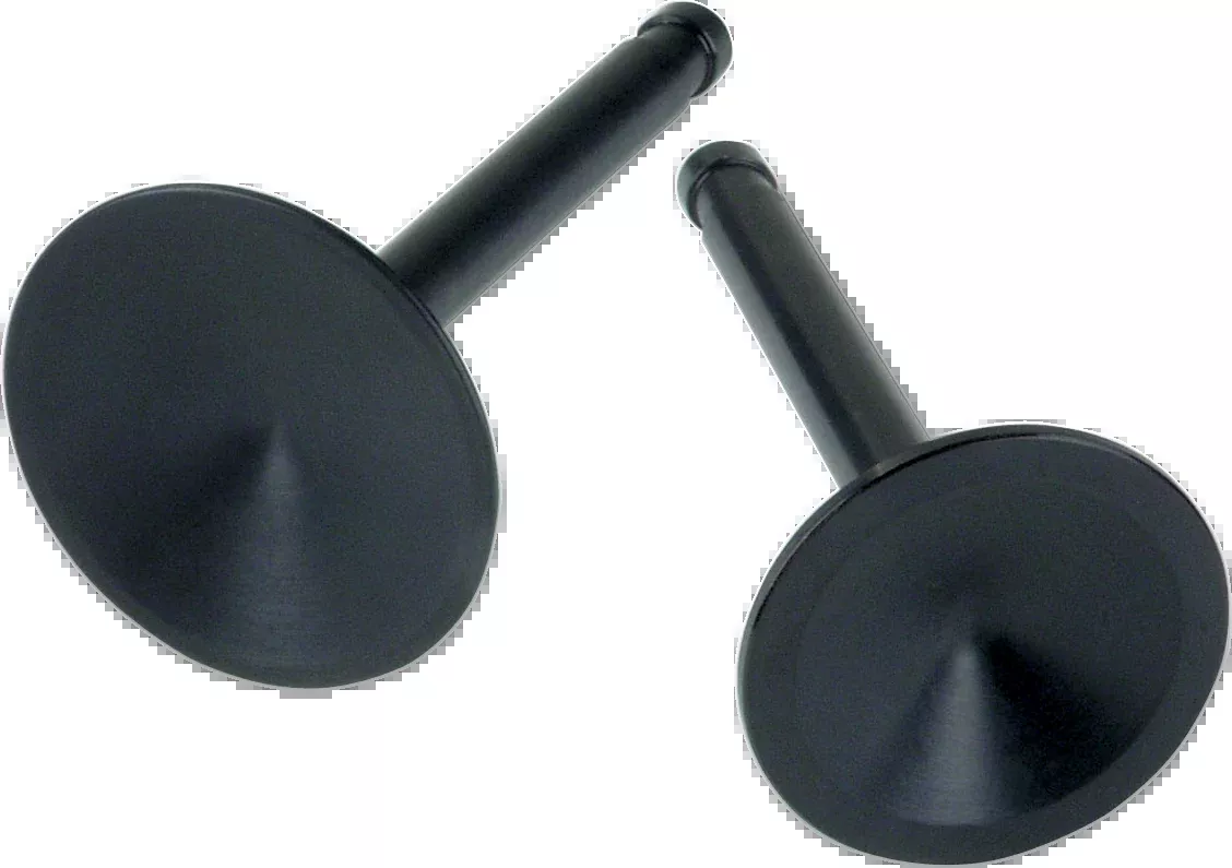 Intake Valve - 1.95" - Big Twin '66-'84
