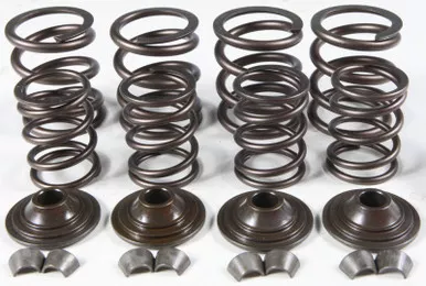 Kpmi Racing Valve Spring Kit 0.600 Lift - 20-20450