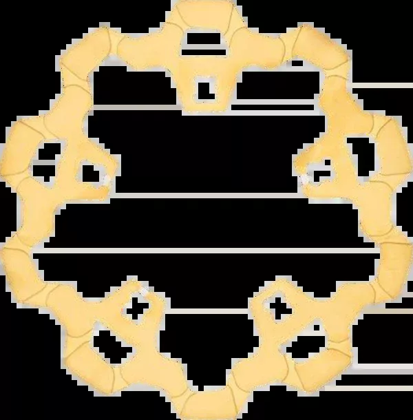 Lyndall Racing Brakes LLC Front Brake Rotor