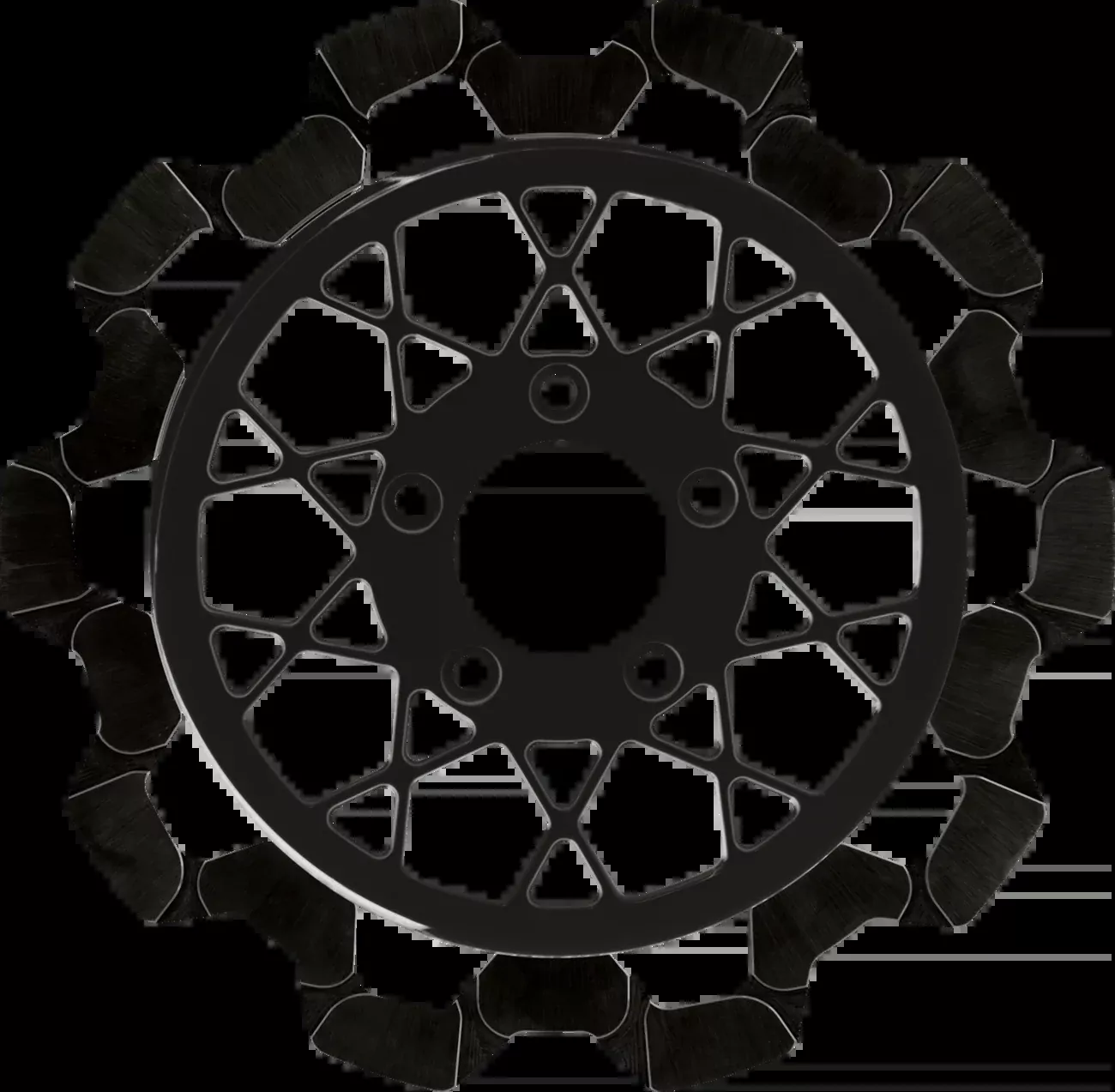 Lyndall Racing Gemini Black Rear Brake Rotor for 2014-2024 Harley Touring FLH