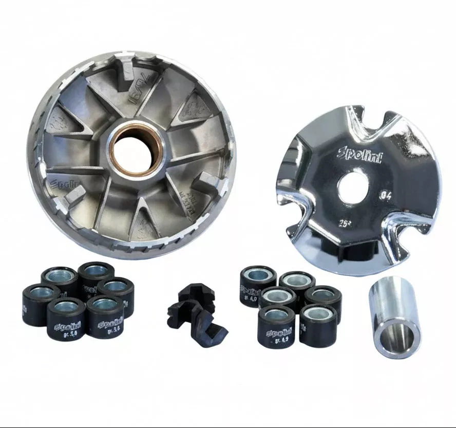 Polini Hi-Speed Variator Kit - Honda Ruckus & 50cc 139QMB