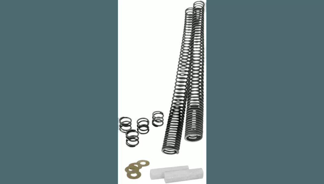 Progressive Suspension Fork Lowering Kit for '15-23 Indian Scout Models (SEE FITMENT)