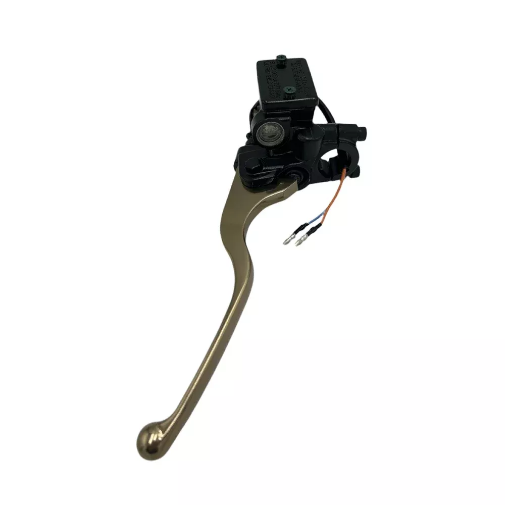 REAR BRAKE MASTER CYLINDER (BLUR 220)