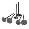 SK Pro Valves