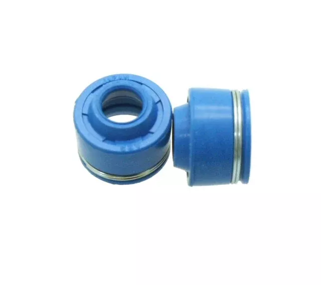SSP-G Viton Valve Seals