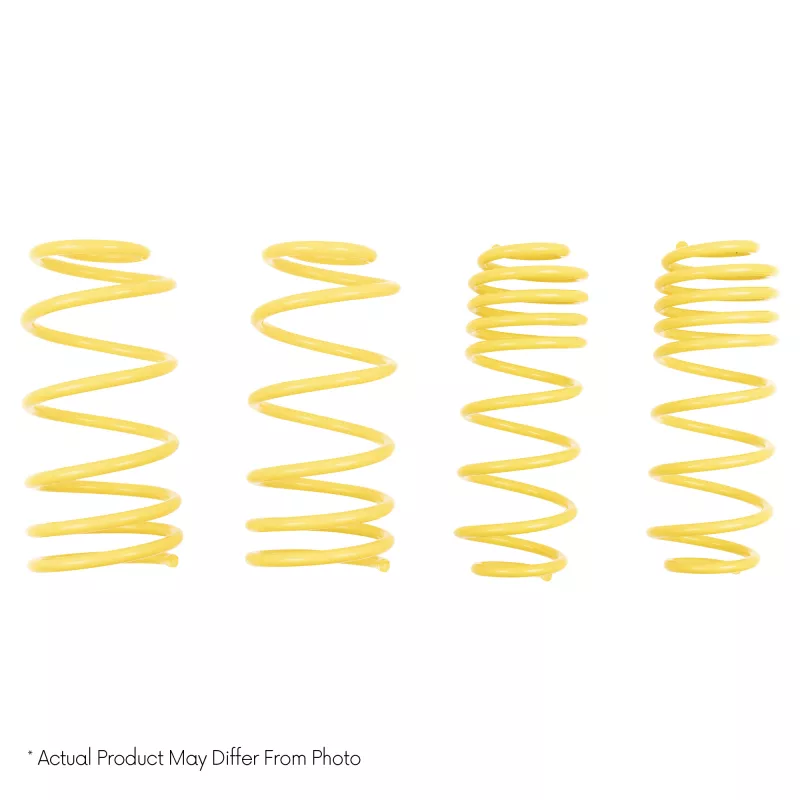 STS Muscle Car Springs