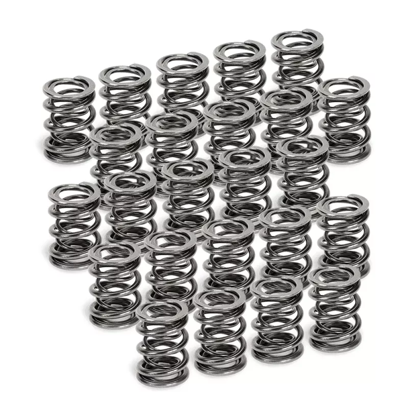 Supertech BMW M50/M52/S50/S52 Dual Valve Spring – Set of 24