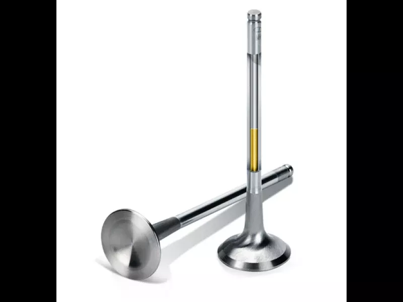 Supertech Ford EcoBoost 2.0L/2.3L Sodium Filled Inconel Exhaust Valve – Set of 8