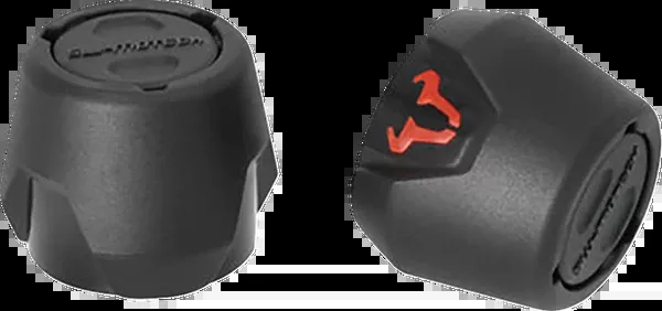 SW-Motech Axle Sliders – Rear – Set – Triumph 660