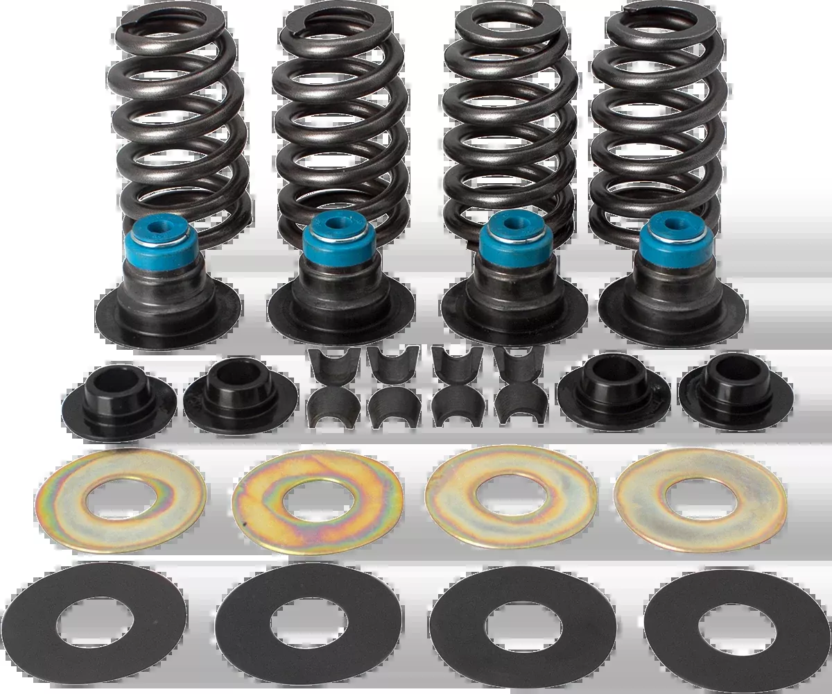 Valve Spring Kit - 0.585" - Street Performance - Twin Cam - '05-'17