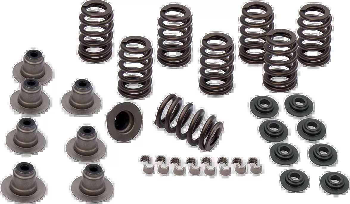 Valve Spring Kit - 0.605" - Heavy Duty - M8
